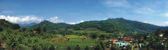 Kampung Pago View